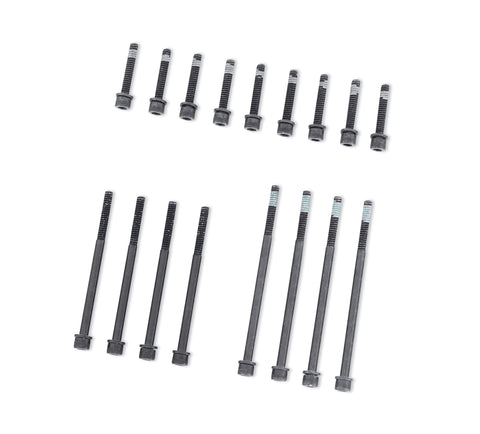 Harley Davidson 12600257 Primary Cover Hardware Kit KIT,MISC HWD,SOFTAIL PRIMARY