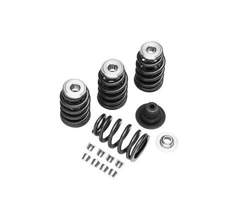 Harley-Davidson 18013-03A Screamin' Eagle Performance Valve Spring Kit Screaming Eagle