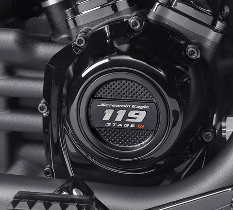 Harley-Davidson 25600153 Screamin' Eagle 119 Stage III Insert Screaming Eagle