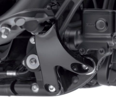 Kit de conversion de planche à cheville Harley Davidson 50501640 KIT, FTPEG, BRKT, MT, RDR, BLK