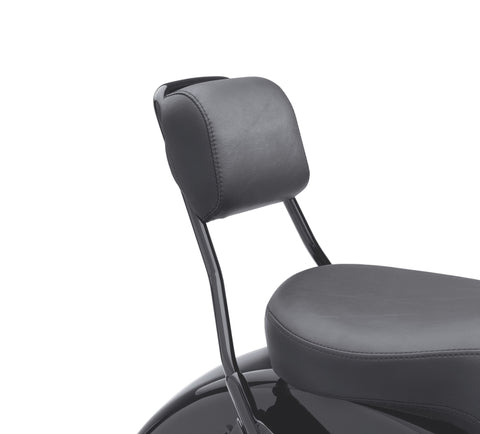 Kit de coussinets pour dossier passager lisse Harley Davidson 52300038 - Coussinets, dossier, lisse, FXS