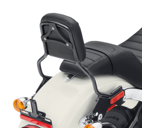 Harley-Davidson 52300434 HoldFast Sissy Bar Upright - Standard Height - Gloss Black