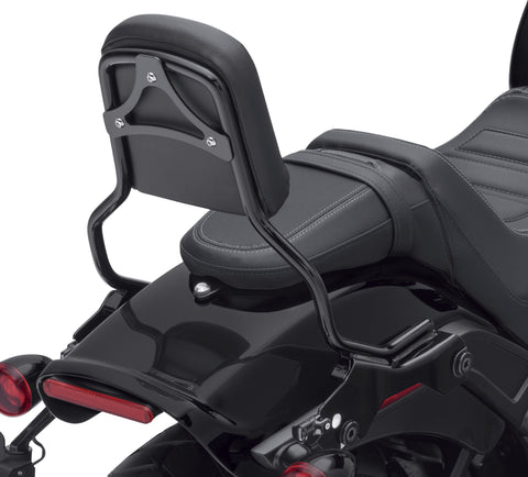 Harley-Davidson 52300454 HoldFast Sissy Bar Upright - Standard Height - Gloss Black