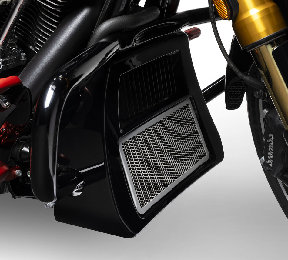 Harley Davidson Center-Cooled Milwaukee-Eight Radiator Guard