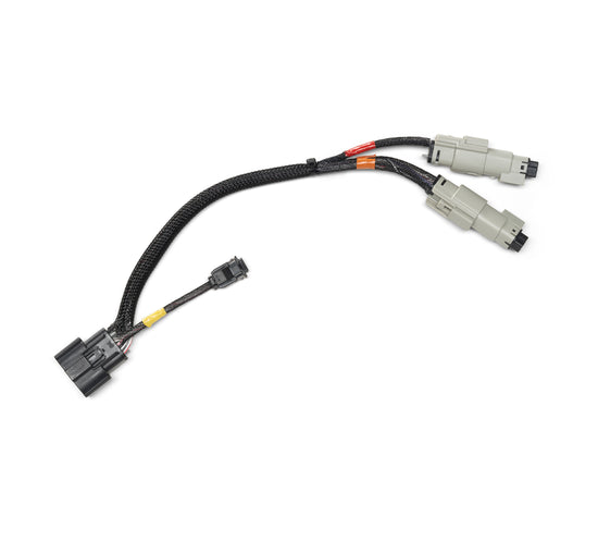 Harley Davidson Port Splitter Harness