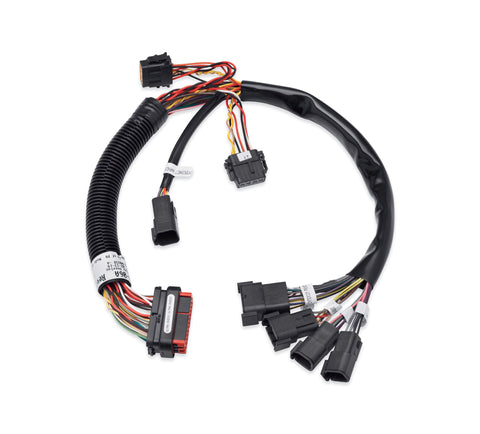 Harley Davidson 70169-06A Boom! Audio System Wiring Harness WIRE HARNESS,OVERLAY,NON-ULTRA