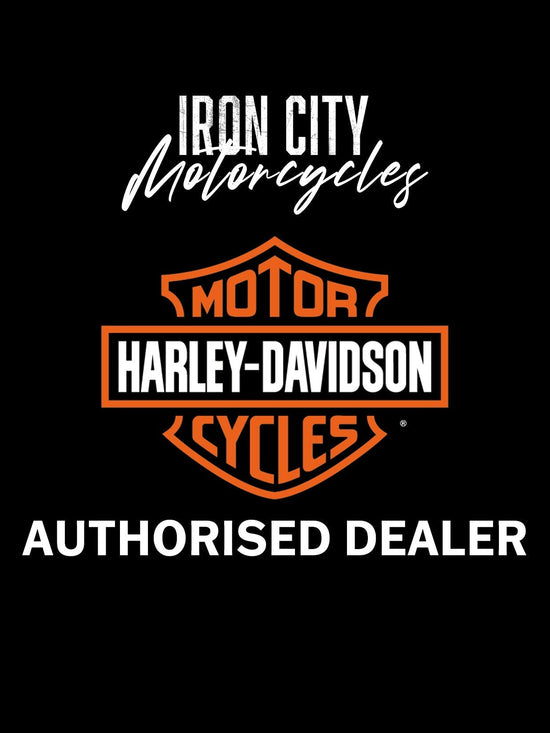 Porte-bagages sport Harley Davidson pour sissy bar vertical HoldFast - Noir brillant 50300125