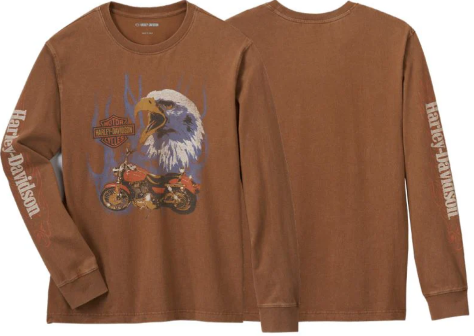 T-shirt à manches longues Harley-Davidson Eagle Rider authentique 96029-25VM