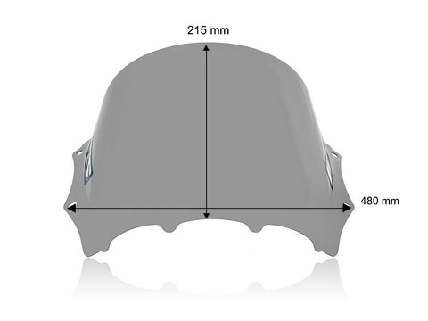 WRS Race Windscreen Smoked (BM100F)