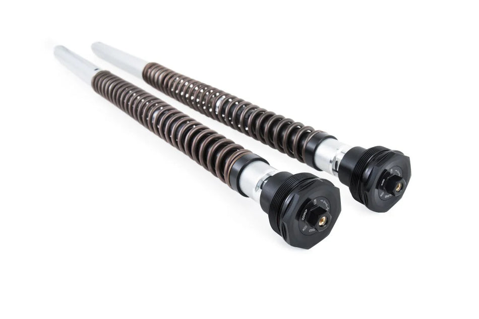 Öhlins Fork Cartridge Kit (FGK 244)