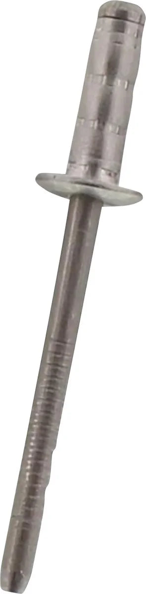 LeoVince Rivet Kit 4,8X10 (20PCS)