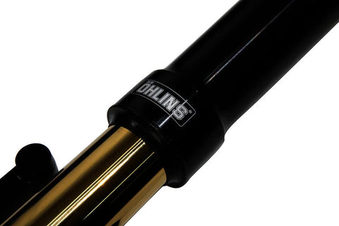 Öhlins Front Fork (FGRT 307)