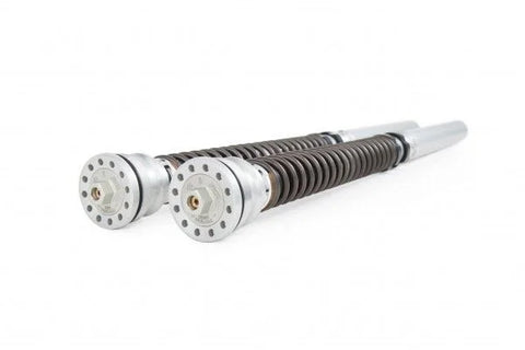 Öhlins Fork Cartridge Kit (FKR 105)