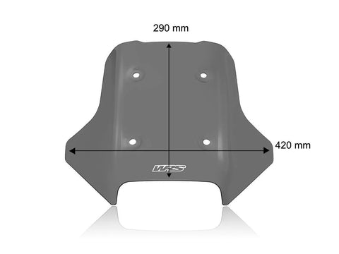 WRS Sport Windscreen Dark Smoked (CF006FS)