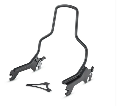 Harley-Davidson 52300439 HoldFast Sissy Bar Upright