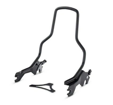 Harley-Davidson 52300454 HoldFast Sissy Bar vertical hauteur standard noir brillant