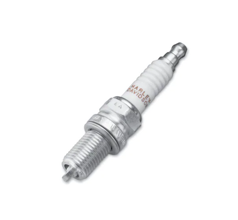 Bougie d'allumage Harley-Davidson 316000012